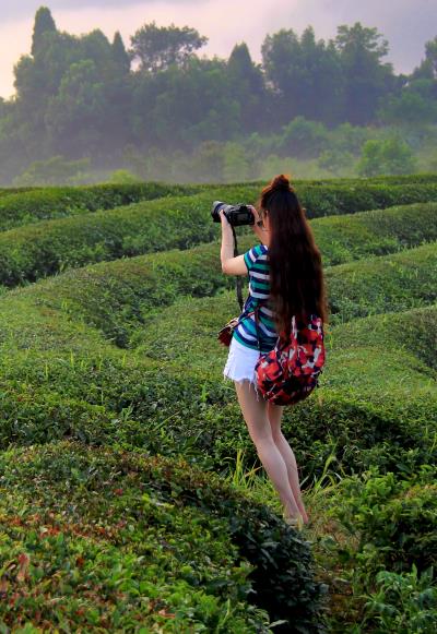 茶山美景