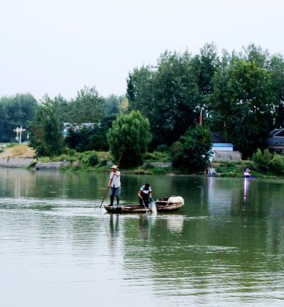收網(wǎng)