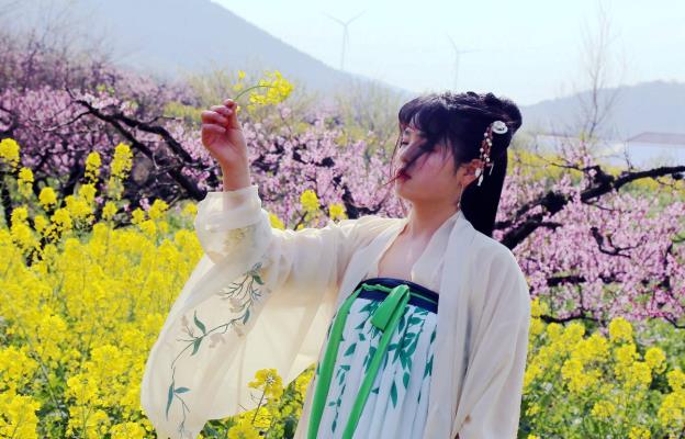 夢境一一桃花紅、菜花黃，桃（梨）故鄉郝家圩。