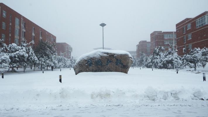 迎風冒雪