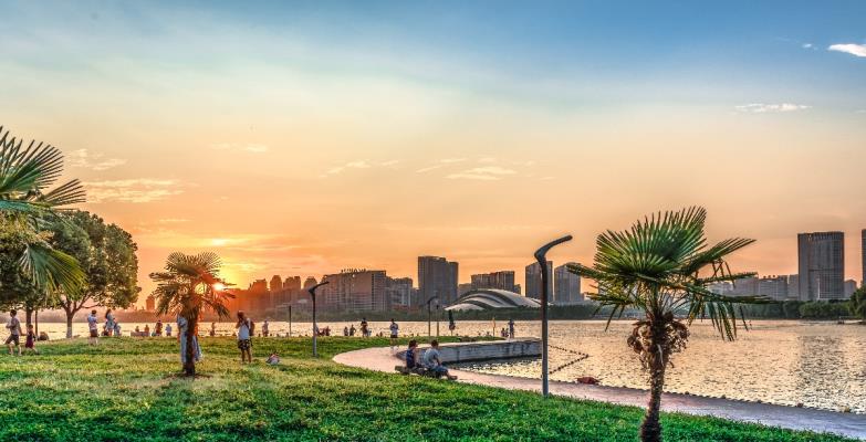夏日的天鵝湖  優(yōu)美的風景  讓人賞心悅目  流連忘返