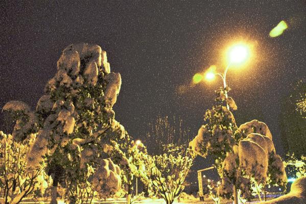 一場(chǎng)飄落在心靈深處的雪