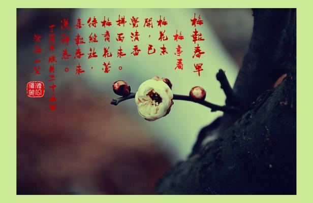 梅報(bào)春早