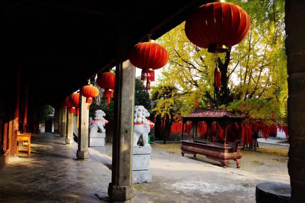 壽縣印象之又是銀杏落葉時(shí)