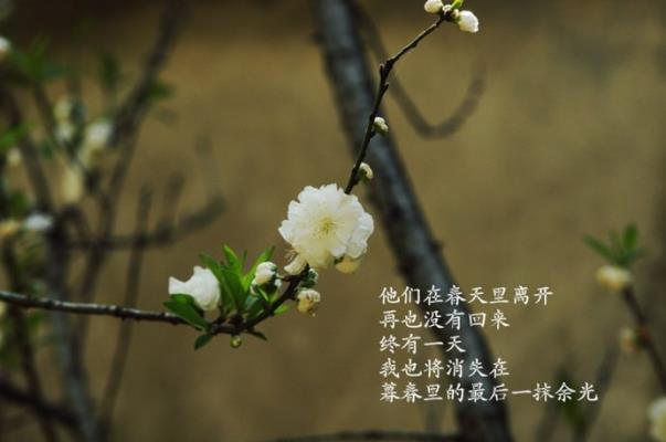 七律：暮  春