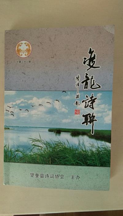 鳴謝黑龍江省《雙龍詩聯》發表拙作