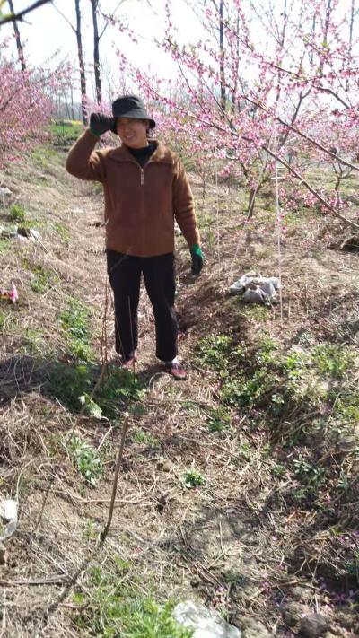 逆境勵志  奮斗不止