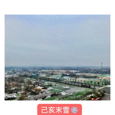 己亥末雪