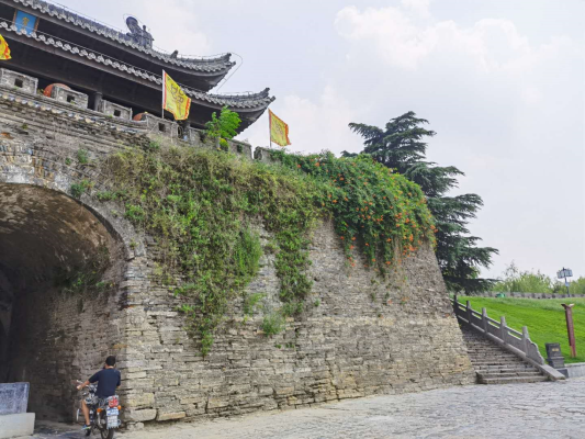 淮上詩家
