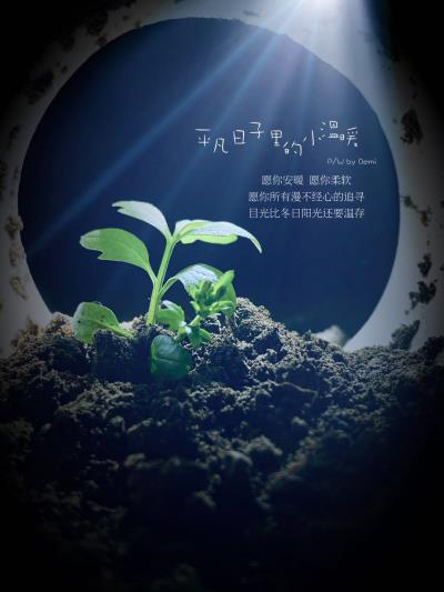 手機攝影之小草