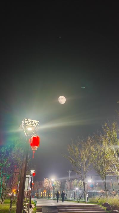 空中飛蝶?