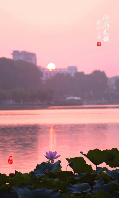 龍湖晨曦
