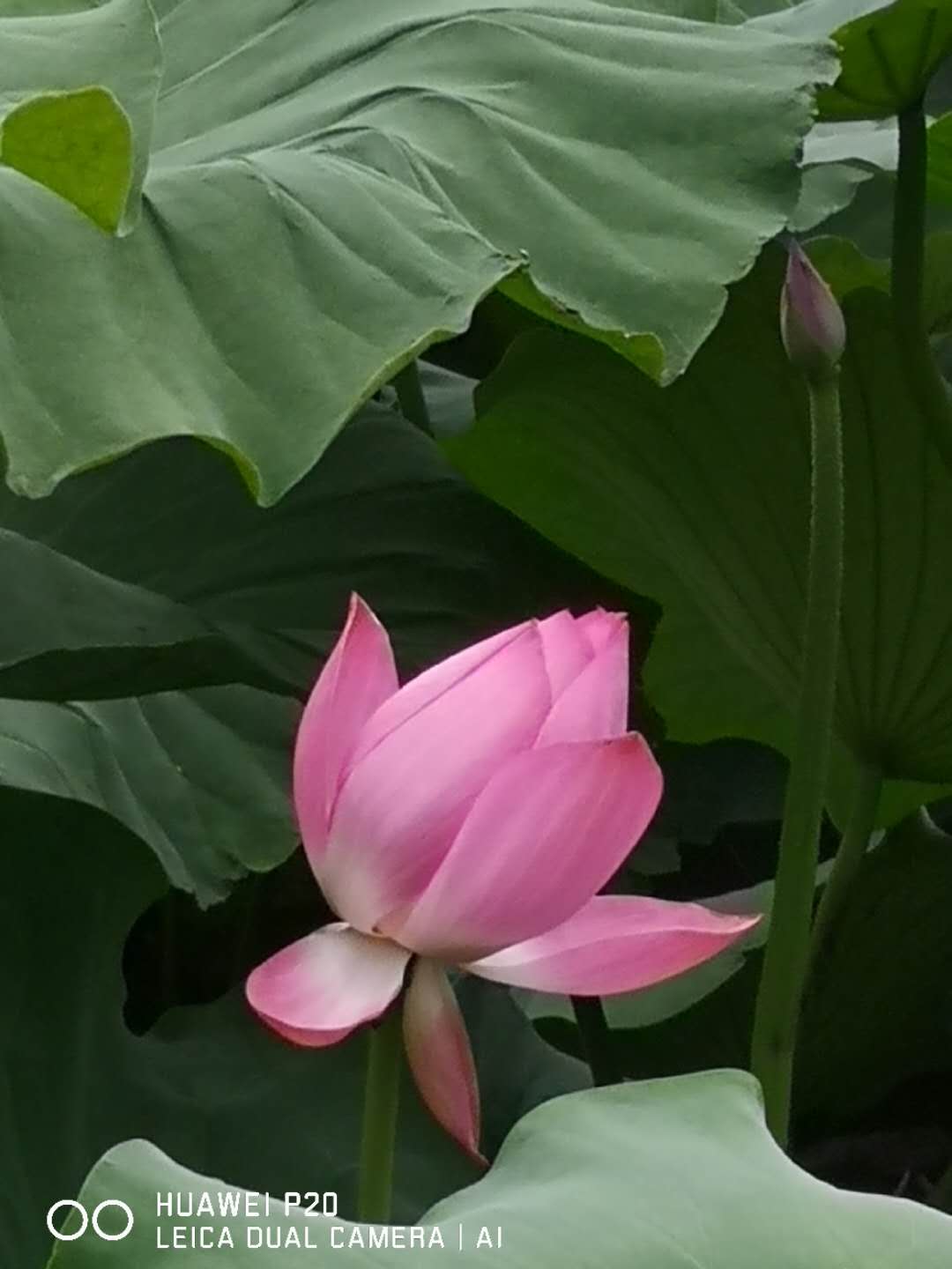 微信圖片_20190629100944.jpg
