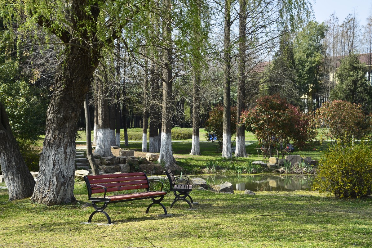 _DSC4468_edited.jpeg