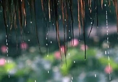 D5EC7256-F474-4A6D-A5FF-6C7F6F746604.jpeg