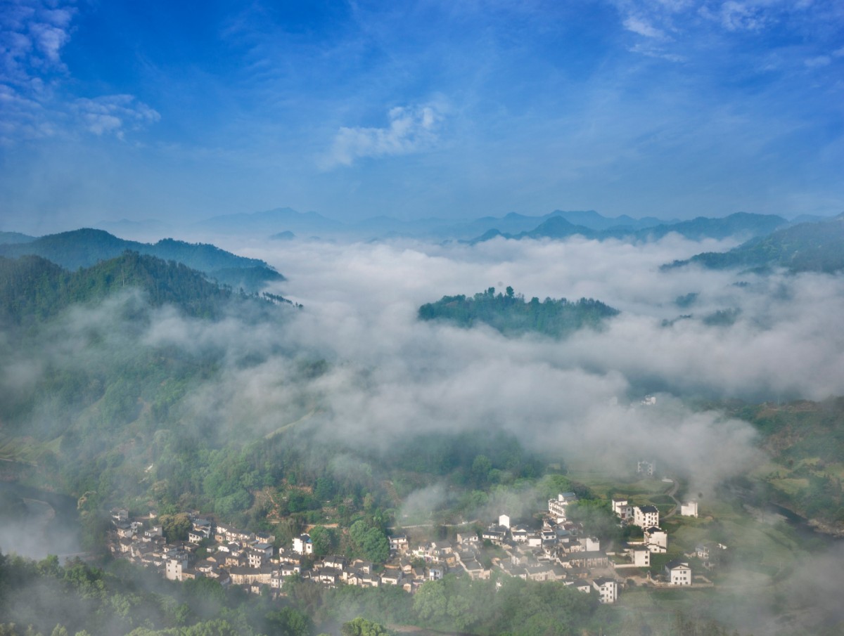 云霧山莊--王振春攝.jpg
