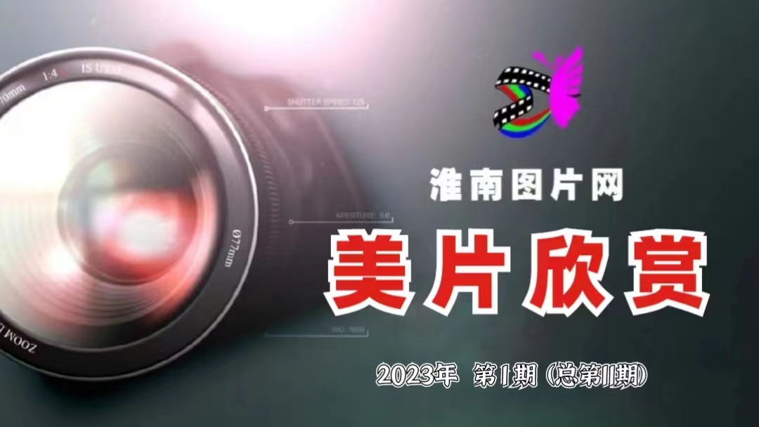 C63D14BE-D2B9-4AE8-B138-702365DFE5FD.jpeg