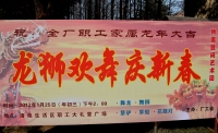 龍獅歡舞慶新年