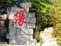 緣之路