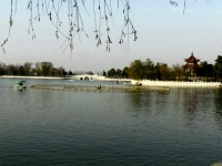 龍湖小景