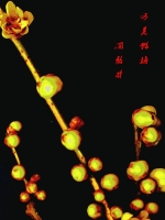 又是蠟梅開放時(shí)