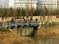 龍泉小景