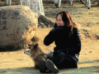 草地、女人和狗