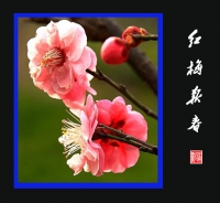 紅梅報春