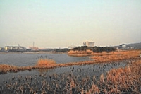 龍泉小景