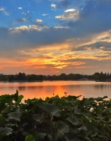 夕陽下的龍湖公園