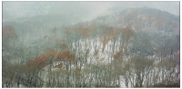八公山雪景