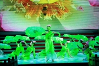 2013年淮南市春晚剪影  續(xù)