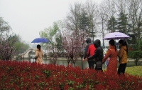 春雨龍湖