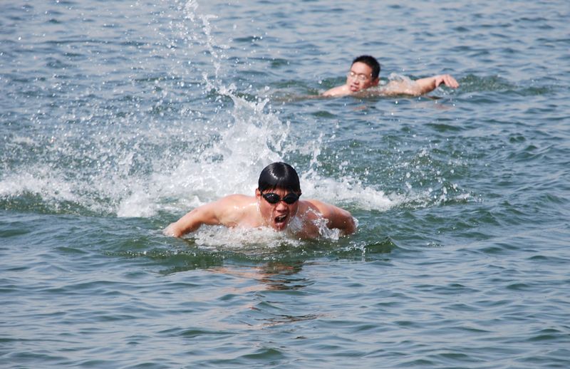 蝶泳