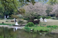 無(wú)錫【梅園與櫻花林】
