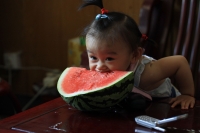 賣萌的小丫丫