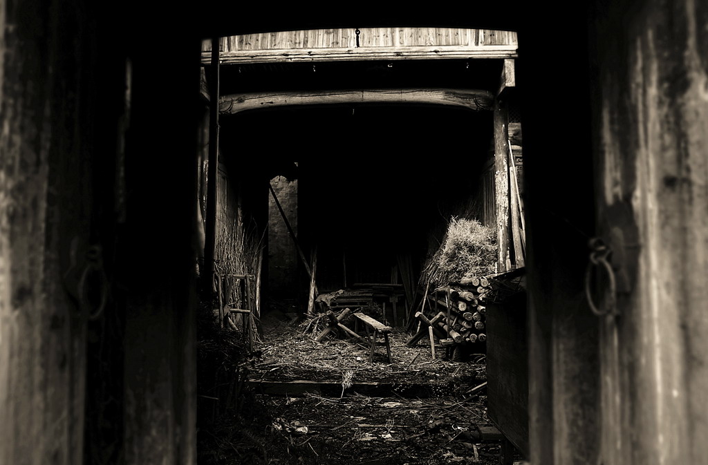 風骨·遺韻——逝去的徽居(組照)
