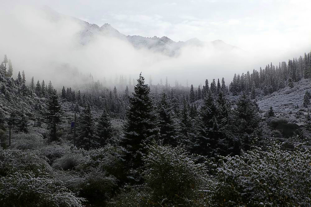 驢行川藏第一險——翻越冰雪覆蓋的雀兒山(組照)
