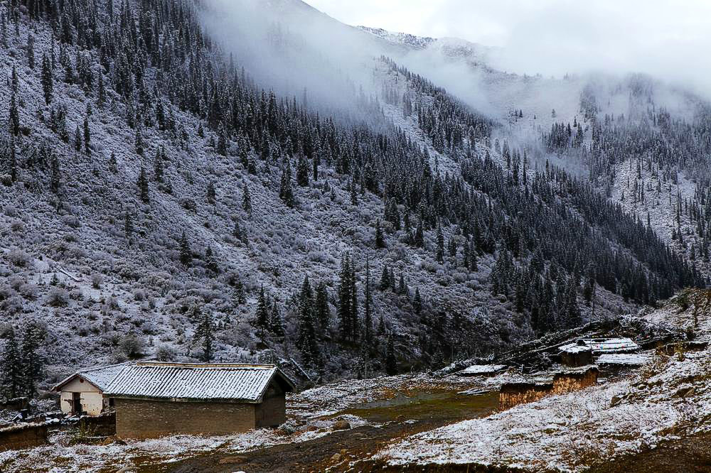 驢行川藏第一險——翻越冰雪覆蓋的雀兒山(組照)
