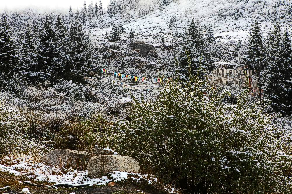 驢行川藏第一險——翻越冰雪覆蓋的雀兒山(組照)