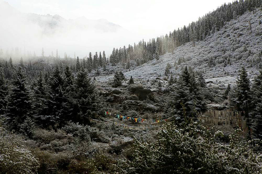 驢行川藏第一險——翻越冰雪覆蓋的雀兒山(組照)