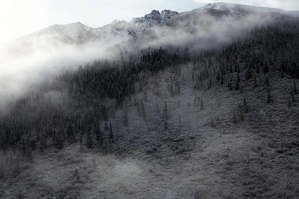 驢行川藏第一險——翻越冰雪覆蓋的雀兒山(組照)