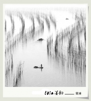 墨韻