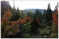 舜耕山秋色