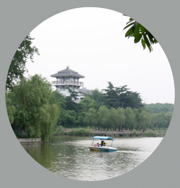 美在龍湖
