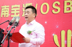 淮南寶源（OSB）無醛精木板開業(yè)