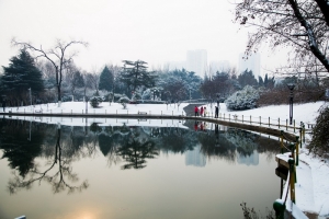 龍湖看雪