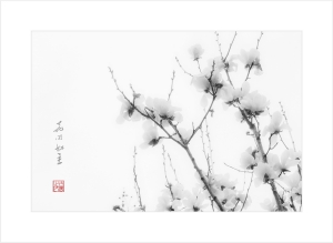 花開如玉