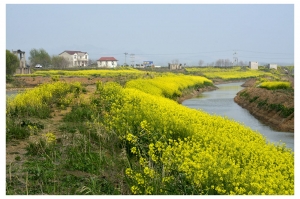 春潤綠野