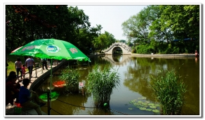龍湖公園隨拍